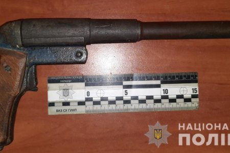 Житель Подольска за незаконное хранение огнестрельного и холодного оружия отделался условным наказанием