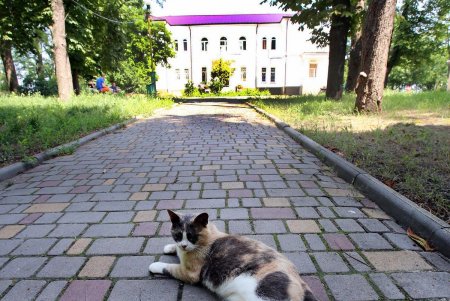 Санаторий имени Горького в кадрах (фоторепортаж)
