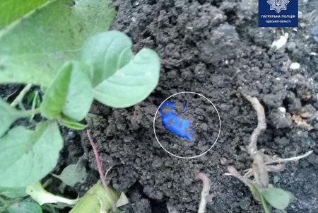 Наркодилер пытался сбежать от полицейских на Дальних Мельницах (фото)