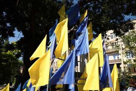 Возложение цветов к памятнику Тарасу Шевченко по случаю Дня Конституции (фоторепортаж)