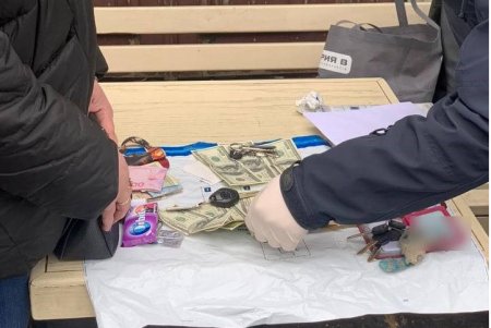 Сотрудница миграционной службы, взявшая 1200 $ за вид на жительство, предстанет перед судом