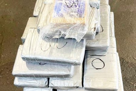 В контейнере с бананами в порту «Южный» обнаружили кокаин на 10 миллионов долларов