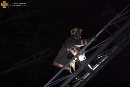 Десять человек эвакуировали ночью из-за пожара на Кузнечной (фото)