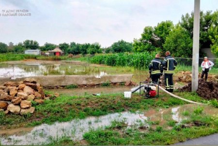 Дождевая вода затопила дворы и дом в Одесской области (фото)