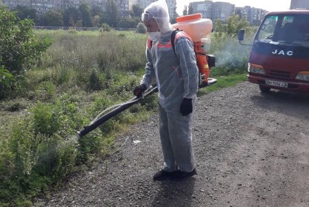 Коммунальщики уничтожают амброзию во всех районах города (фото)