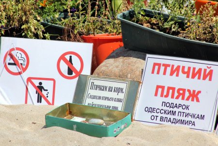 Субботняя прогулка от Ланжерона до Отрады (фоторепортаж)