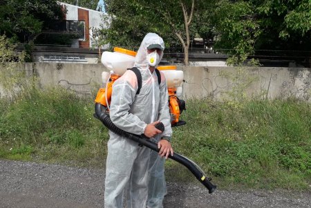 Борьба одесских коммунальщиков с амброзией принесла результаты