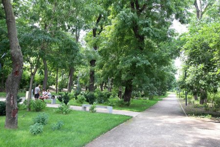 Жаркий летний день в тени Греческого парка (фоторепортаж)