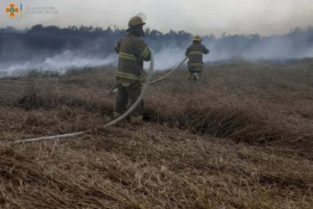 От удара молнии загорелось поле в Березовском районе (фото)