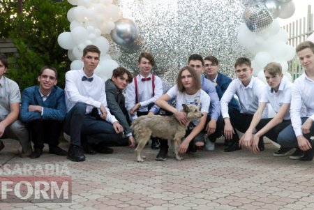 Килийский одиннадцатиклассник пришел на выпускной вместе с псом, который два года сопровождал его в школу (фото)