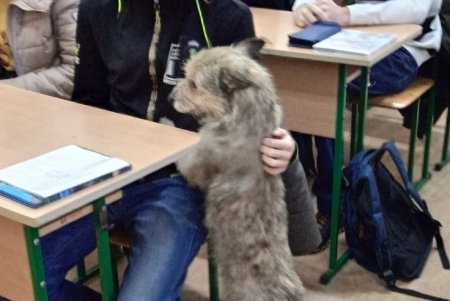 Килийский одиннадцатиклассник пришел на выпускной вместе с псом, который два года сопровождал его в школу (фото)
