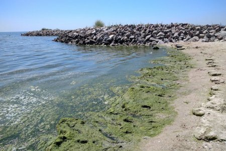 Крыжановская буна испортила курорт, рядом с которым купаются дети из «Молодой гвардии», - одесские депутаты, экологи, общественники (фото)