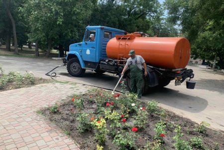 Одесситов просят сообщать о местах массового произрастания амброзии по телефону или отмечать их на онлайн-карте 