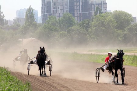 Конный спорт: зрелищные скачки на Одесском ипподроме (фоторепортаж)