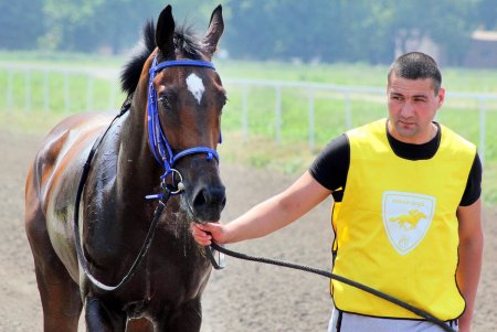 Конный спорт: зрелищные скачки на Одесском ипподроме (фоторепортаж)