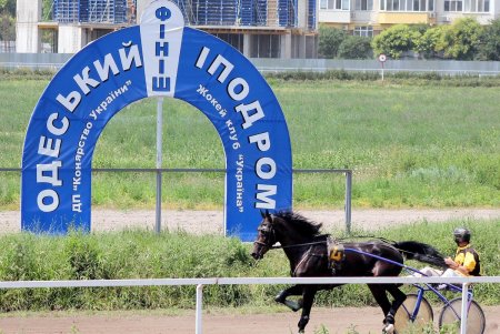 Конный спорт: зрелищные скачки на Одесском ипподроме (фоторепортаж)