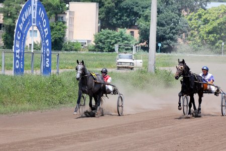 Конный спорт: зрелищные скачки на Одесском ипподроме (фоторепортаж)