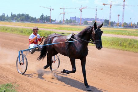 Конный спорт: зрелищные скачки на Одесском ипподроме (фоторепортаж)