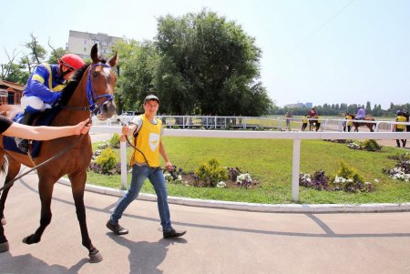 Конный спорт: зрелищные скачки на Одесском ипподроме (фоторепортаж)