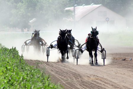 Конный спорт: зрелищные скачки на Одесском ипподроме (фоторепортаж)