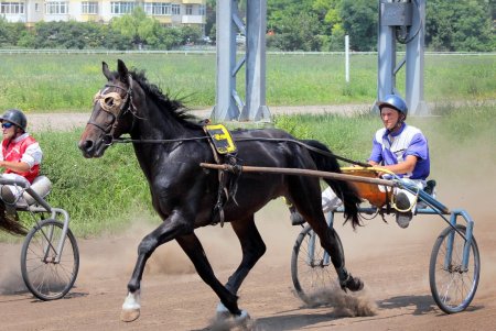 Конный спорт: зрелищные скачки на Одесском ипподроме (фоторепортаж)