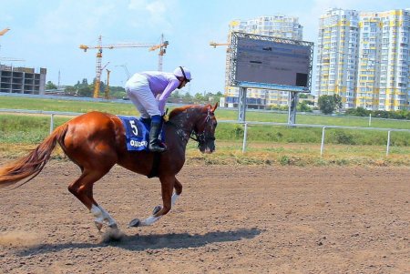 Конный спорт: зрелищные скачки на Одесском ипподроме (фоторепортаж)