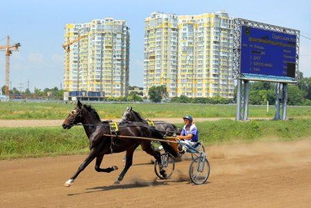 Конный спорт: зрелищные скачки на Одесском ипподроме (фоторепортаж)