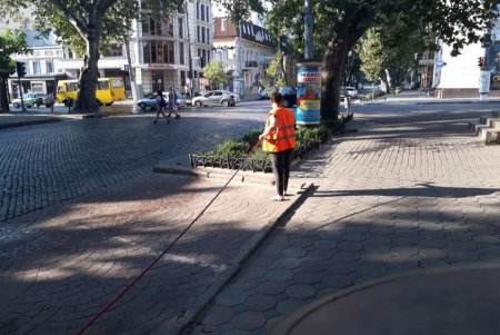 Коммунальщики ежедневно поливают водой тротуары и придомовые территории (фото)