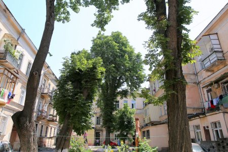 Жилой комплекс Шретера на улице Пастера (фоторепортаж)