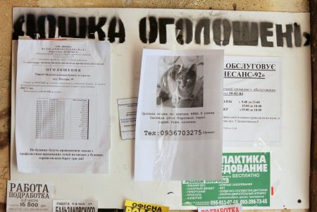 Жилой комплекс Шретера на улице Пастера (фоторепортаж)