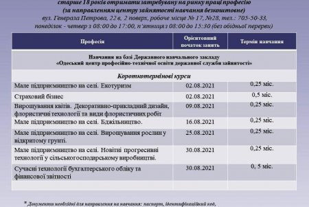 Бармен, парикмахер, дизайнер: горожан приглашают бесплатно получить востребованную профессию