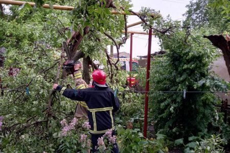 Поваленные деревья и подтопленные дома: последствия непогоды в Подольском районе (фото)
