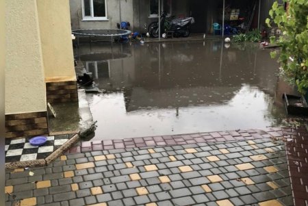 Поваленные деревья и подтопленные дома: последствия непогоды в Подольском районе (фото)