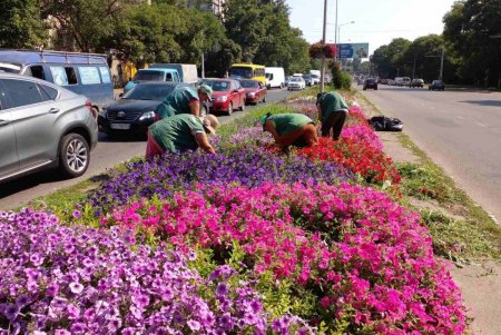 Уборка, помывка, подрезка, ремонт: одесские коммунальщики приводят в порядок улицы города (фото)