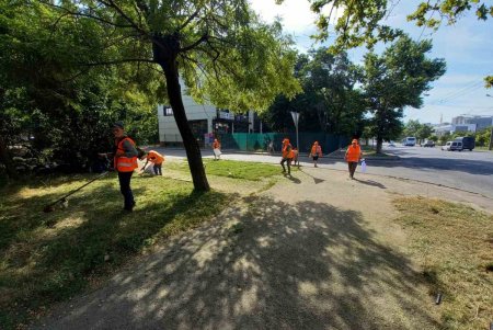 Уборка, помывка, подрезка, ремонт: одесские коммунальщики приводят в порядок улицы города (фото)