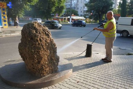 Уборка, помывка, подрезка, ремонт: одесские коммунальщики приводят в порядок улицы города (фото)