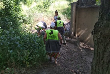 Уборка, помывка, подрезка, ремонт: одесские коммунальщики приводят в порядок улицы города (фото)