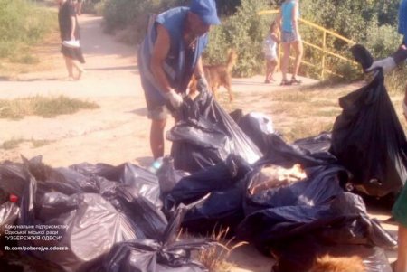 Одесские пляжи коммунальщики убирают трижды в день (фото)