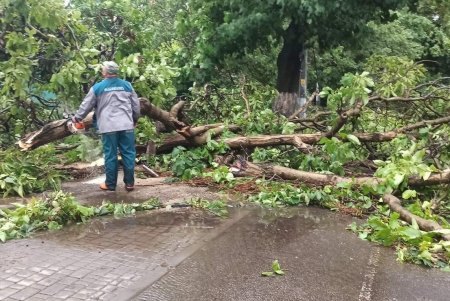 Ночной ливень затопил десятки улиц Одессы (фото, видео)