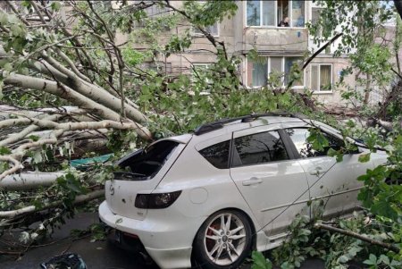 Ночной ливень затопил десятки улиц Одессы (фото, видео)