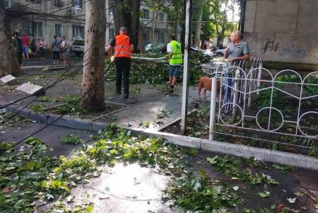 Одесса приходит в себя после обрушившейся стихии (фоторепортаж) 