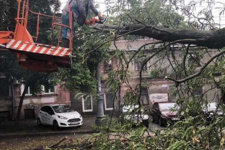 Одесса приходит в себя после обрушившейся стихии (фоторепортаж) 