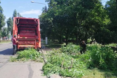Коммунальщики зафиксировали уже почти сто поваленных стихией деревьев и убрали 55 из них (фото)