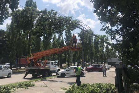 Сильнейший шторм повалил более сотни деревьев в Одессе: 70 из них коммунальщики уже убрали (фото)