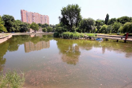 Жаркий воскресный день в Дюковском саду (фоторепортаж)
