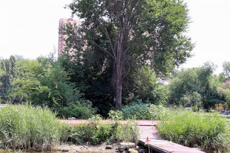 Жаркий воскресный день в Дюковском саду (фоторепортаж)