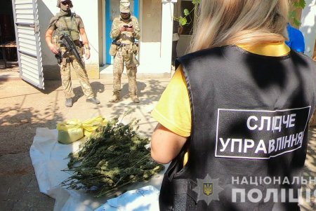 В Измаильском районе нашли плантации наркосодержащих растений на пол миллиона долларов (фото, видео) 