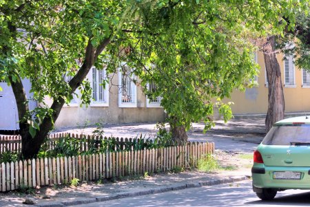Ризовская: тихая и зеленая улица, на которой когда-то жили зажиточные одесситы и орудовали налетчики (фоторепортаж) 