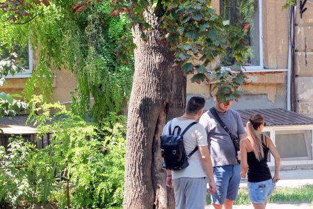 Ризовская: тихая и зеленая улица, на которой когда-то жили зажиточные одесситы и орудовали налетчики (фоторепортаж) 