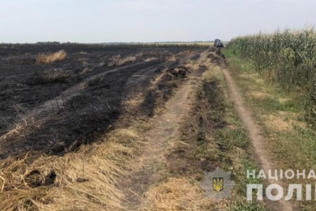 В Подольском районе огнем уничтожено 13 гектаров полей: правоохранители подозревают поджог (фото)
